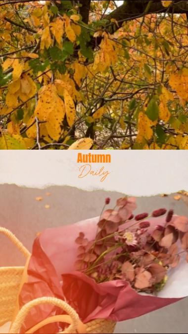 autumn daily