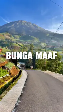 BUNGA MAAF
