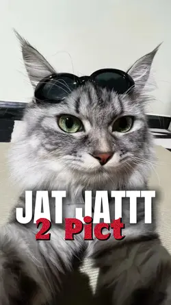 2 Ảnh Jat Jattt