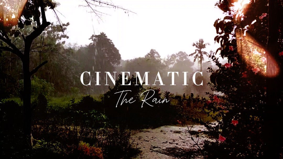 LA LLUVIA CINEMÁTICA