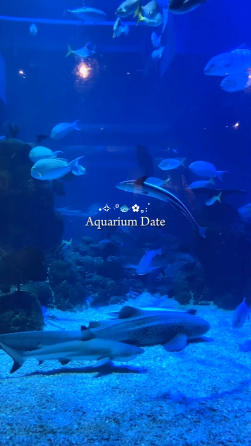 Date de l'aquarium 