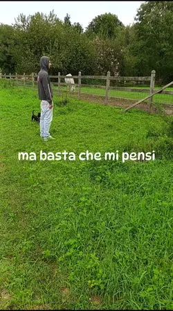 basta che mi pensi