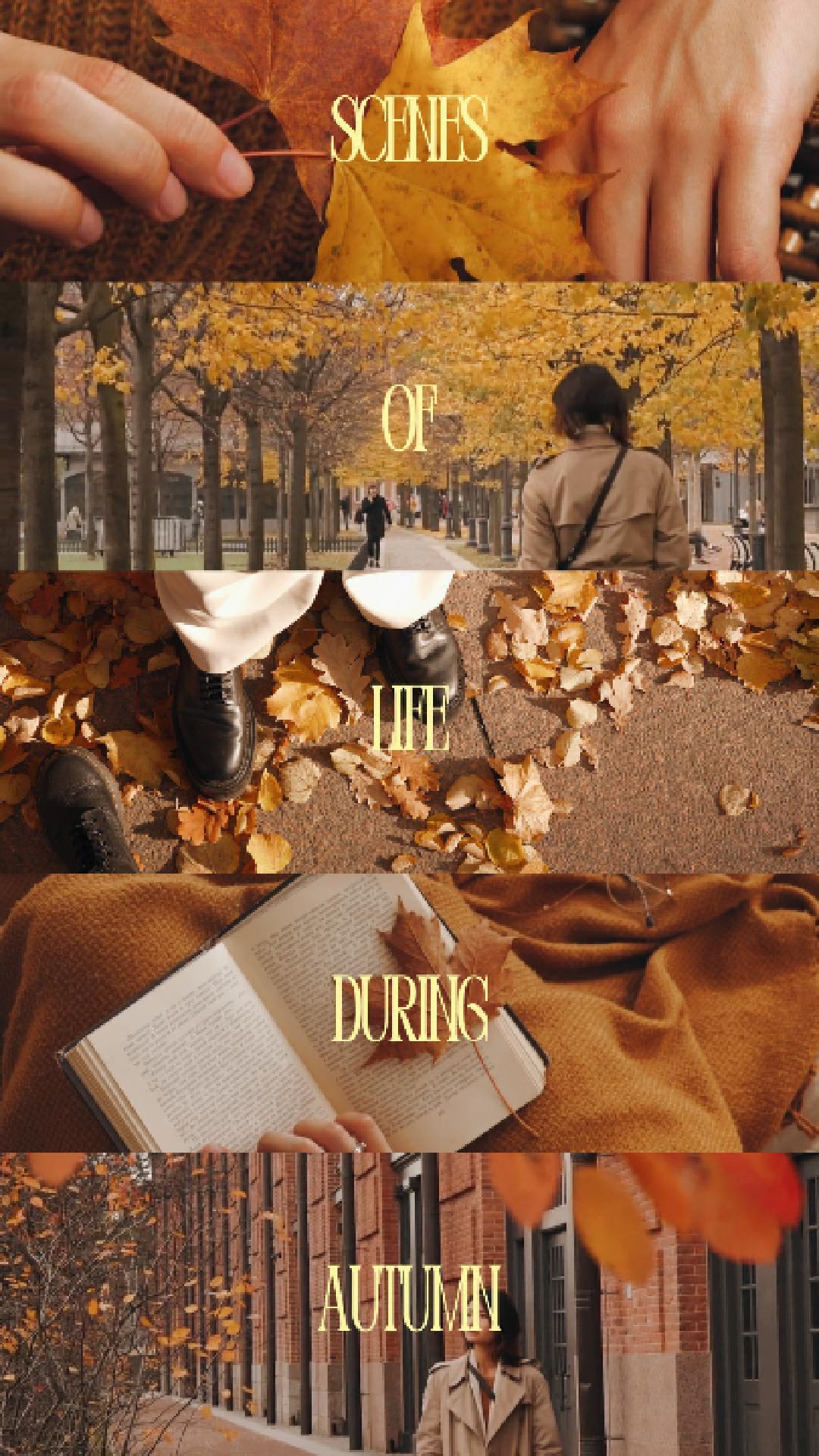 Autumn Diaries