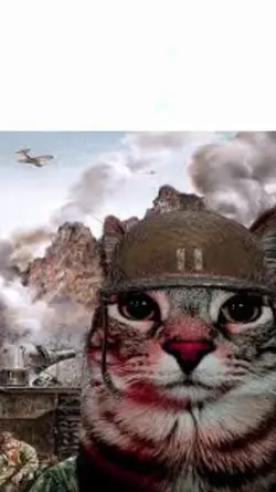 1 month left of scho