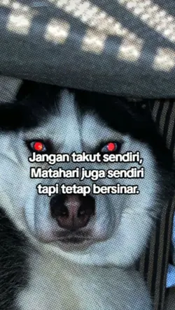 JJ MIROR