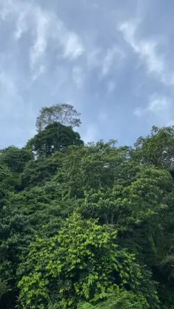 3 video