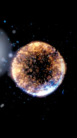 stars portrait