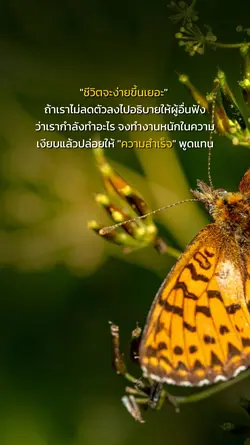 ความสำเร็จ