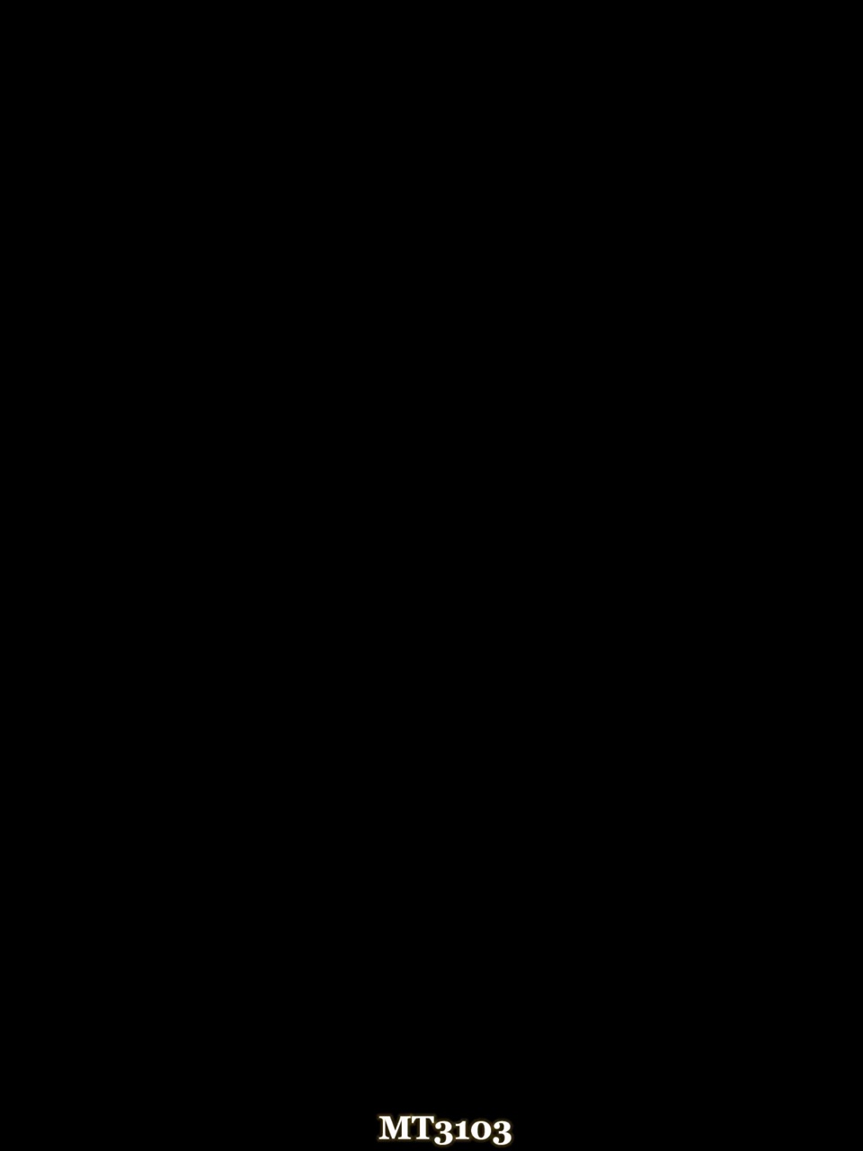 Kamera Medan Saya 