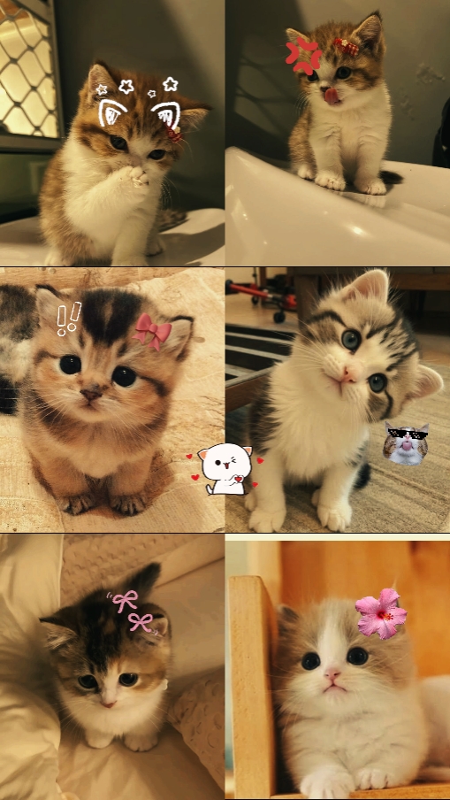 cute