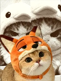 Só Bundão Grandão 