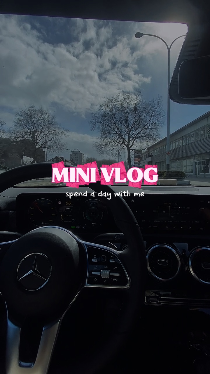 Mini Vlog. 