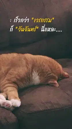 วันจันทร์