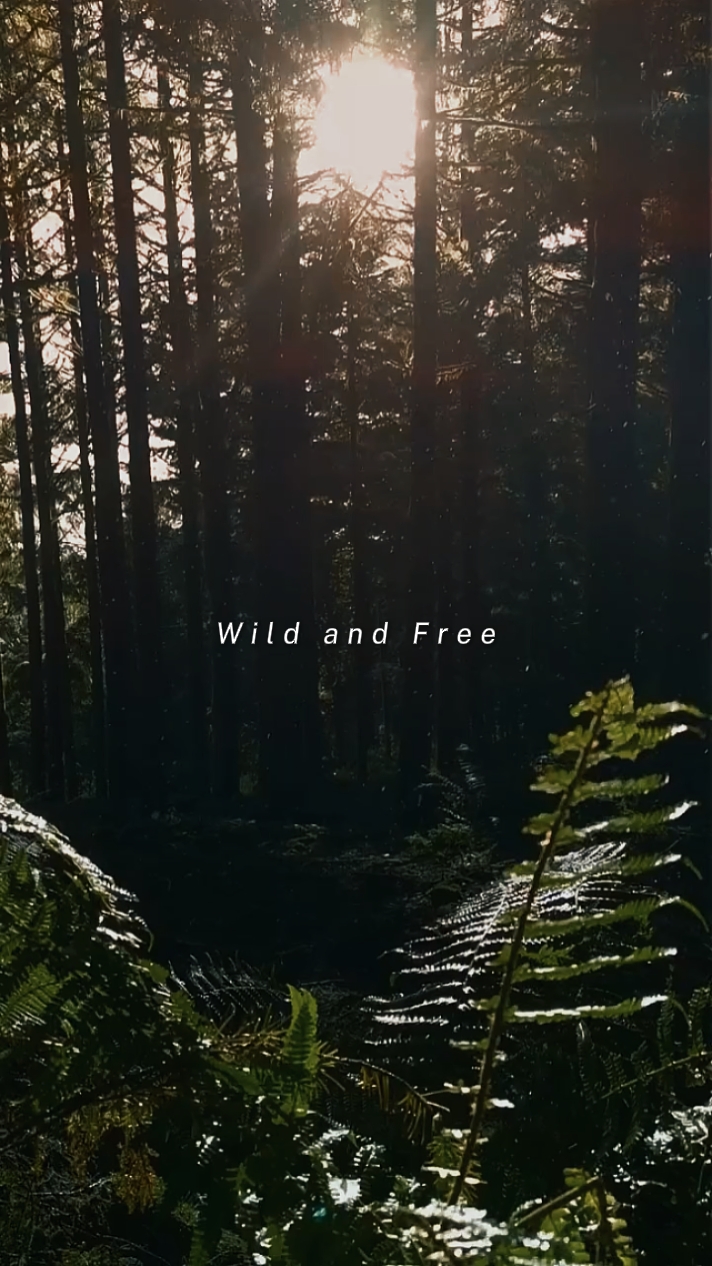 wild and free