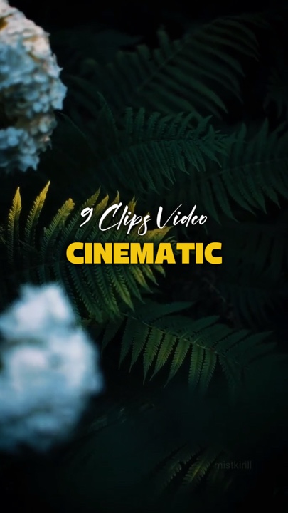 VÍDEO DE 9 CLIPES
