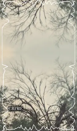‼️CRIME‼️
