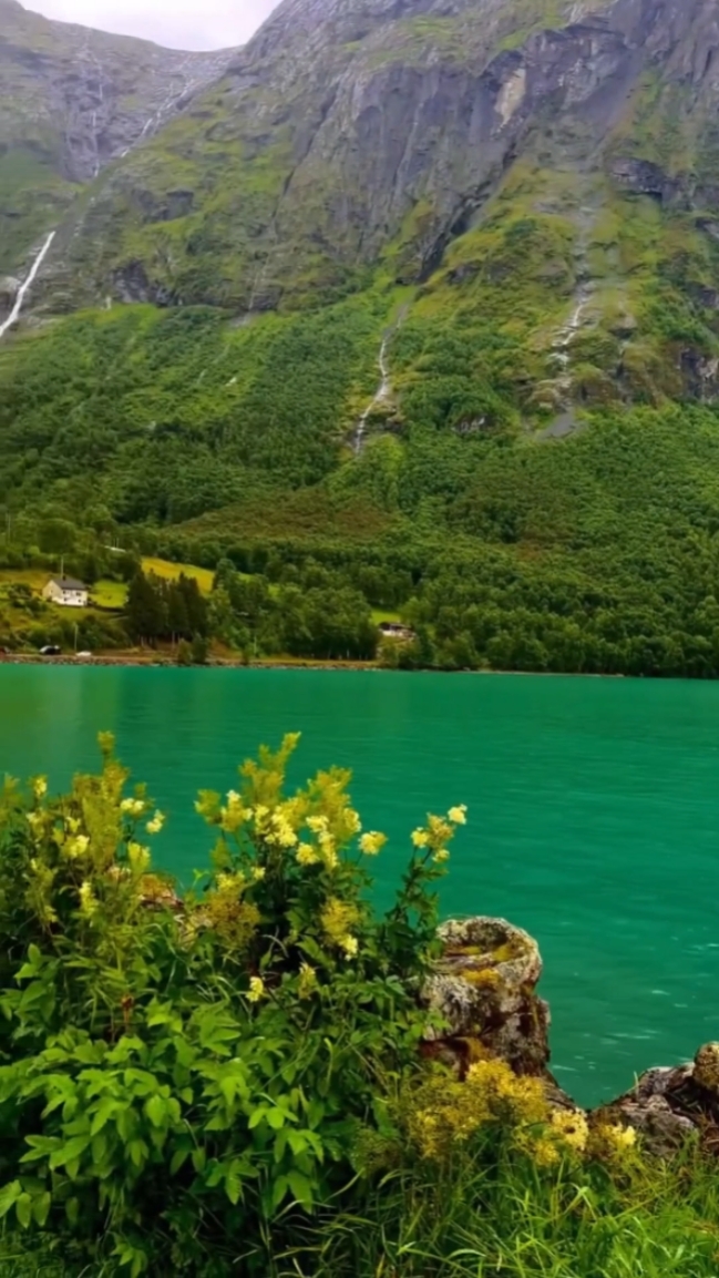 beautiful nature