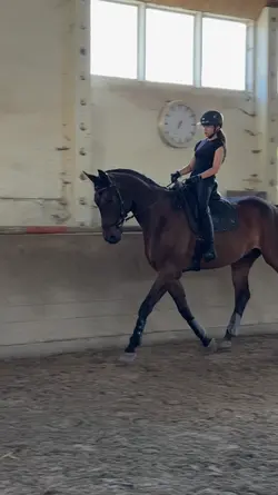 HAD A GREAT RIDE 😻🙏