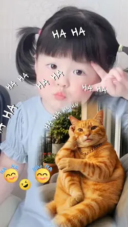 1 foto kucing lucu