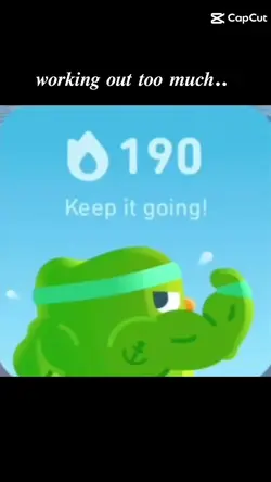 duolingo widgets 