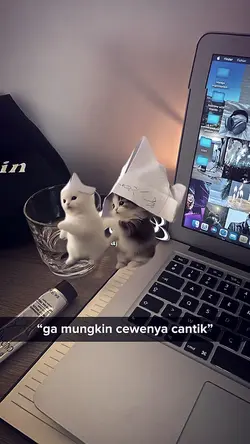 Ga Mungkin Cewenya