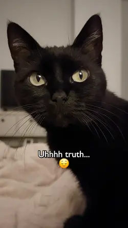 Truth or dare!