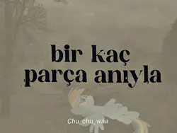 Chu_chu_waa