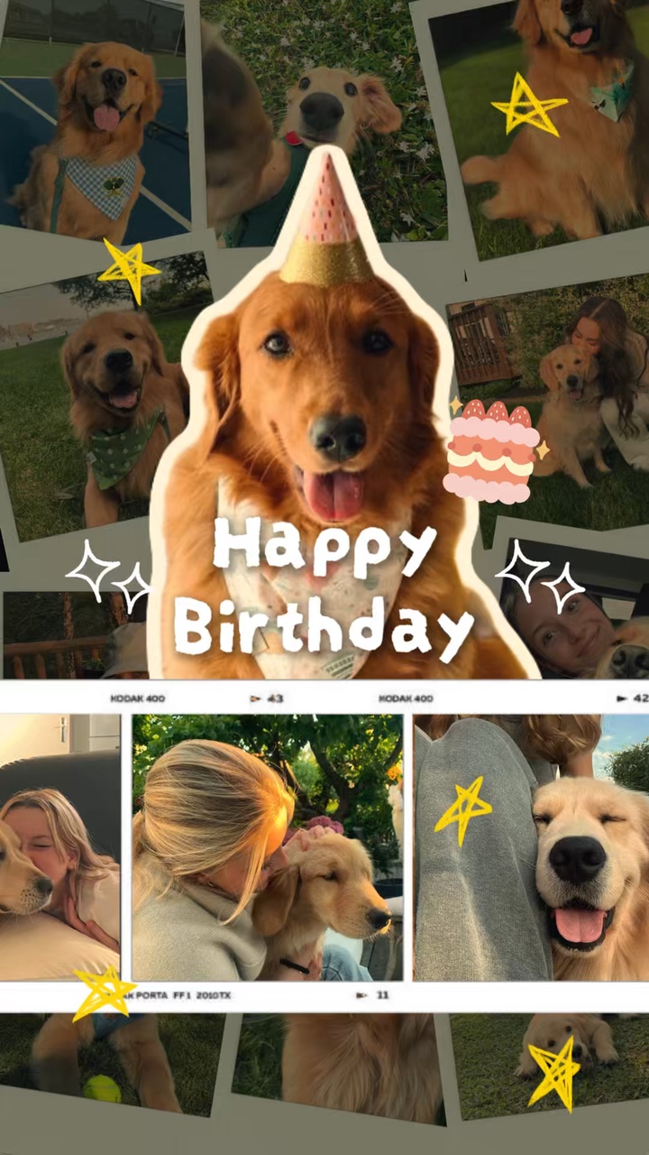 Cachorro feliz aniversário