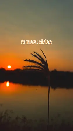Sunset video