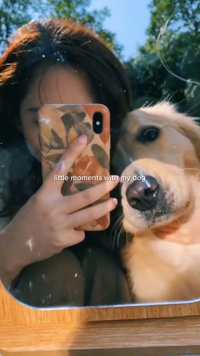 Momento con mi perro