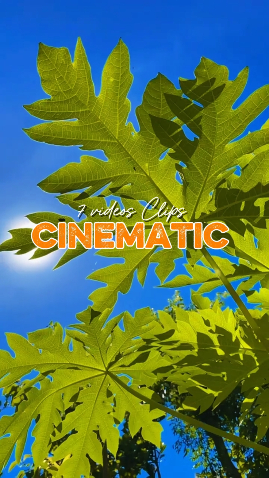 cinématique 7 vidéos 