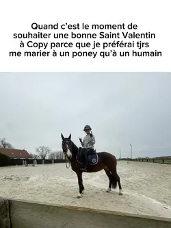 Bonne Saint Valentin