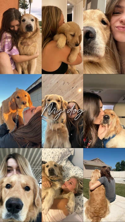 Cute dog