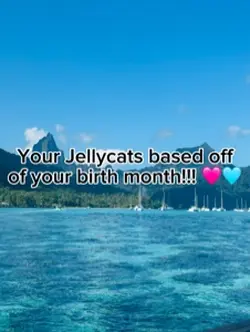Jellycats!!!🩵