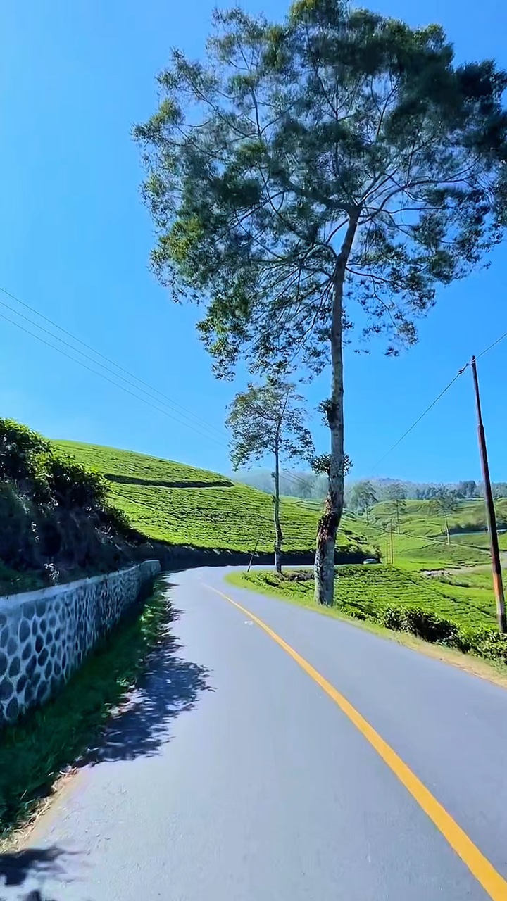 6 video perjalanan darat
