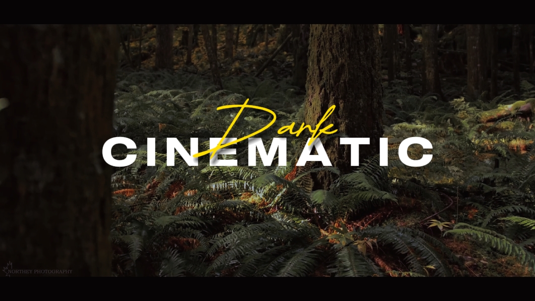 Dunkles Kino