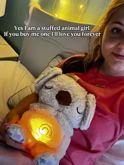 Stuffed animal 