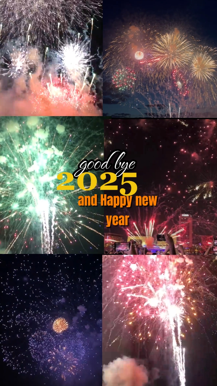 good bye 2025 29clip
