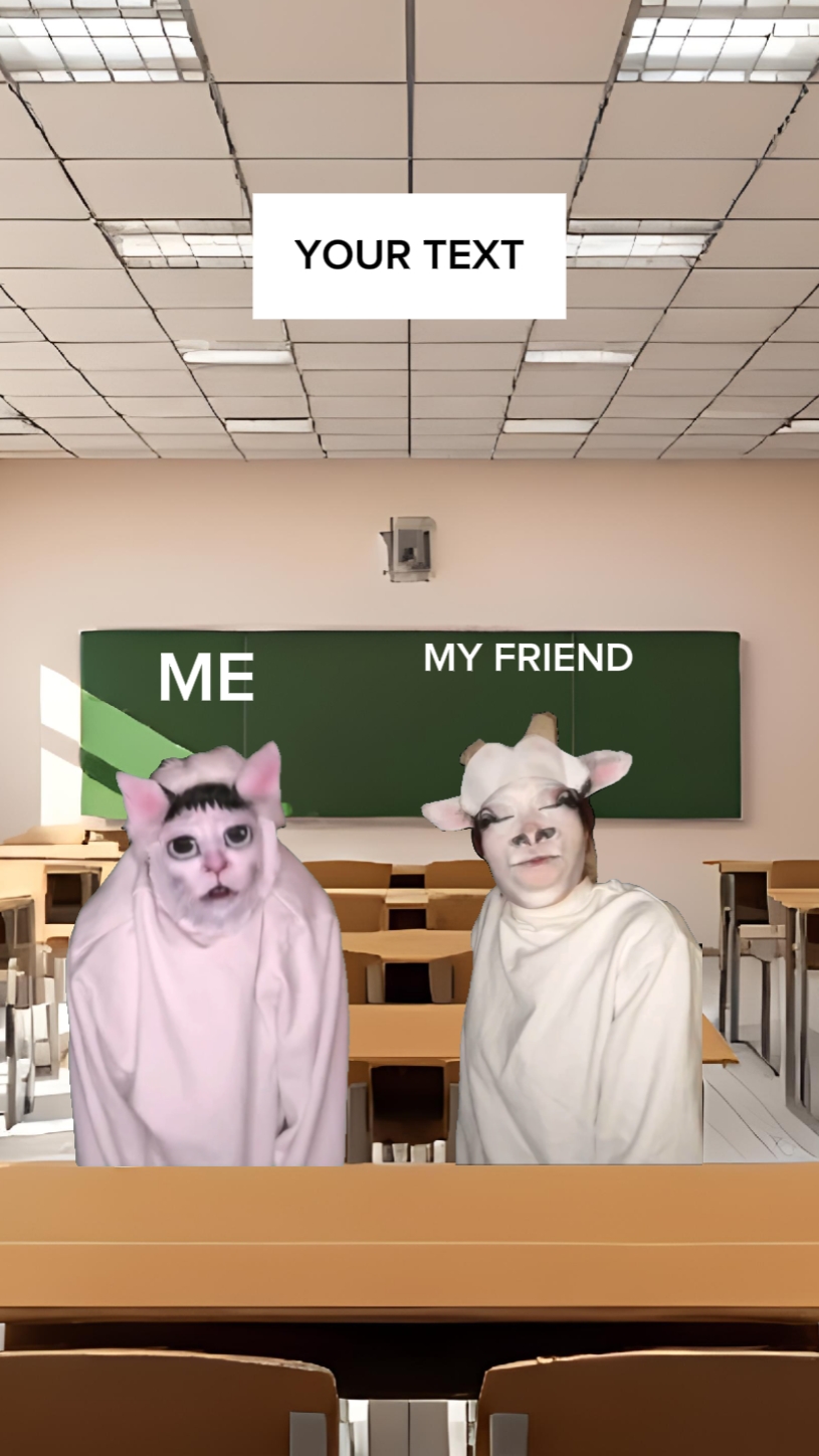 Meme de gato