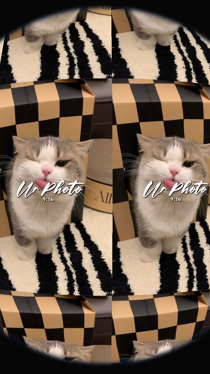 แม่เสือสาว ใช้1รูป💐❤️