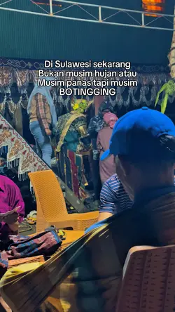 Story bugis 