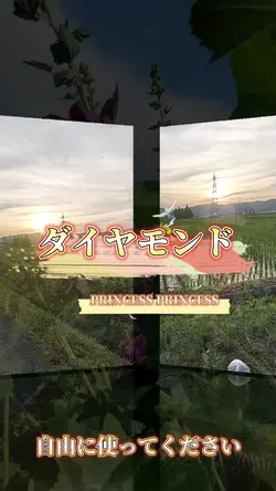 ダイヤモンド PRINCESS PRIN