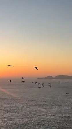 Música e Video