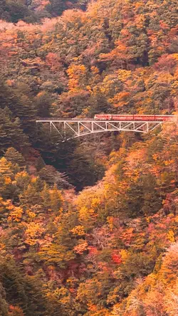 railway train autumn
