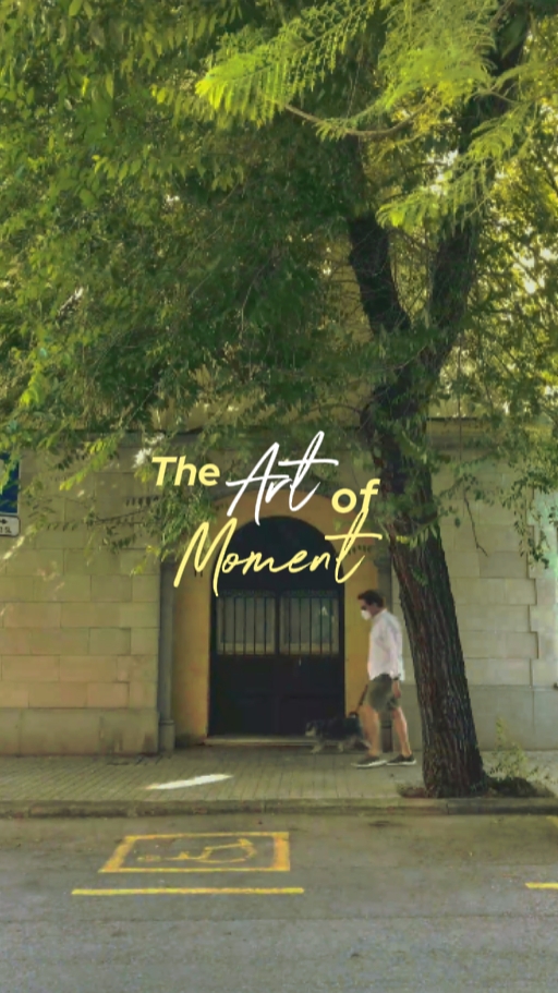 TheMomentOfArt 
