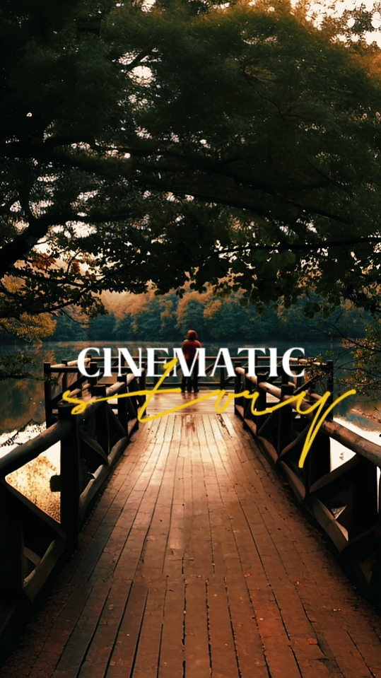 histoire cinématographique 