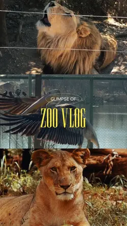 Zoo vlog