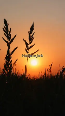 Hallelujah Cinematic