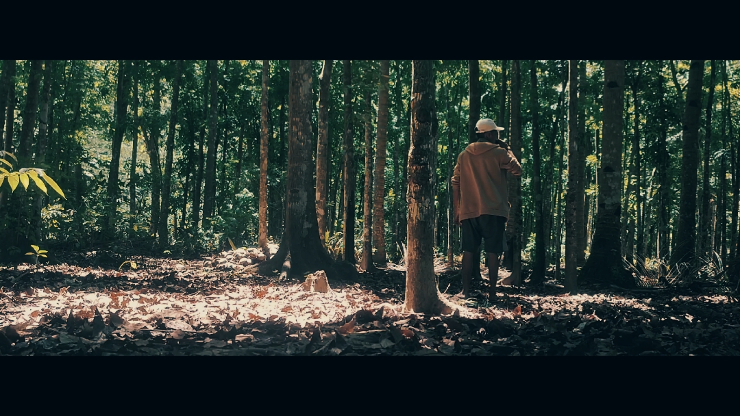 Cinematic Trailer 