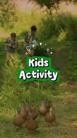 Kids Activity